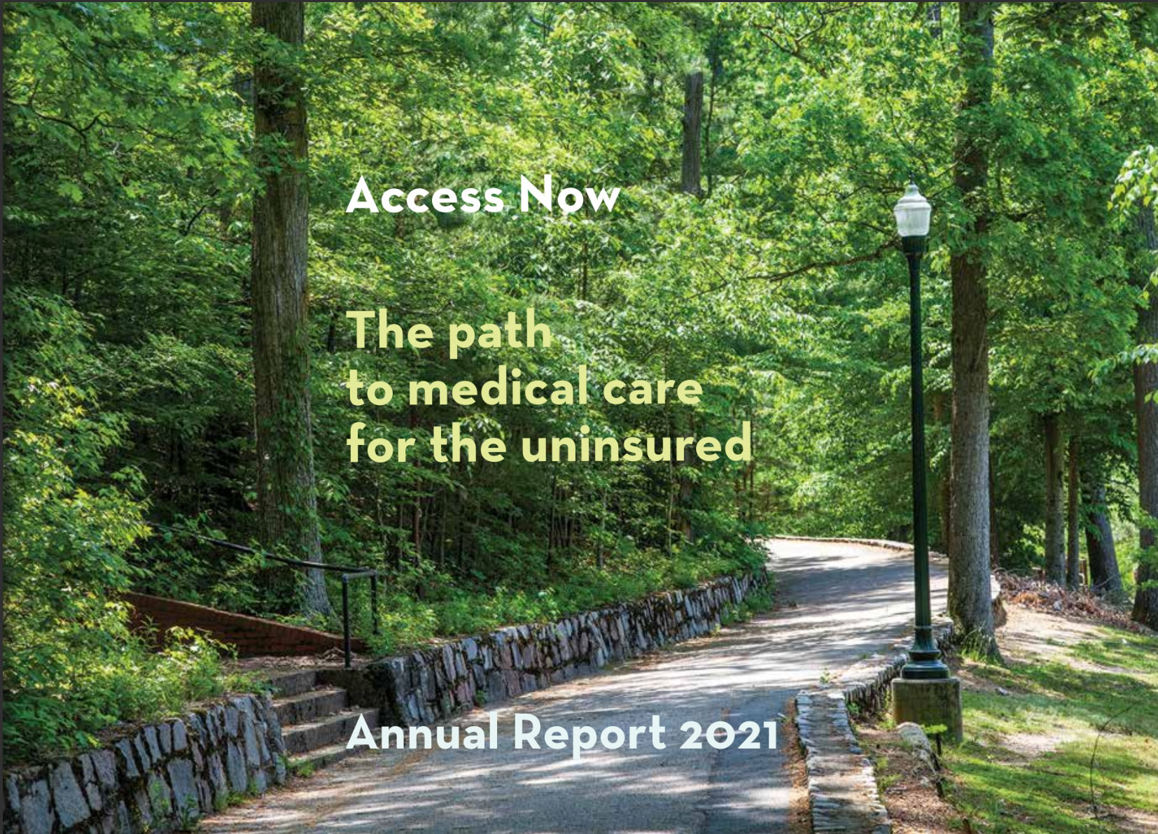 access-now-annual-report-2022